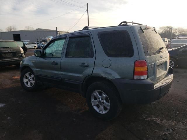 2007 Ford Escape XLT