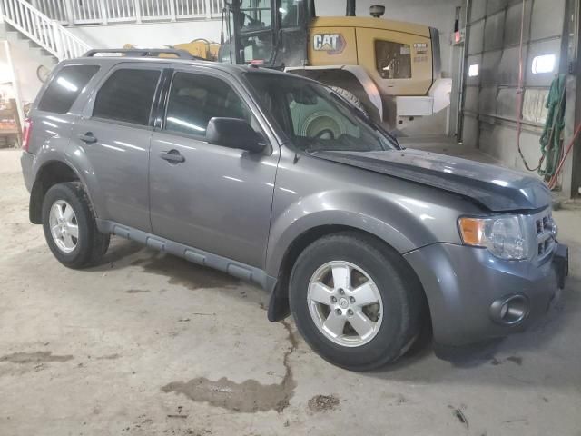 2012 Ford Escape XLT