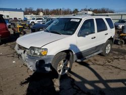 2006 Ford Escape XLT en venta en Pennsburg, PA