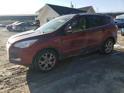 Salvage cars for sale at Northfield, OH auction: 2016 Ford Escape Titanium