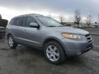 2007 Hyundai Santa FE SE