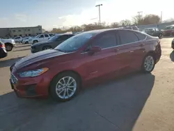 Ford Fusion se Vehiculos salvage en venta: 2019 Ford Fusion SE