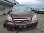 2007 Honda Odyssey EXL