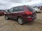 2007 Hyundai Santa FE SE