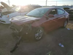 Salvage cars for sale at Elgin, IL auction: 2019 Hyundai Elantra SEL