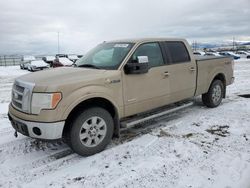 Ford salvage cars for sale: 2012 Ford F150 Supercrew