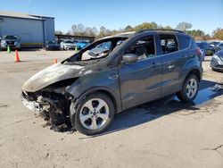 Salvage cars for sale at Florence, MS auction: 2015 Ford Escape SE