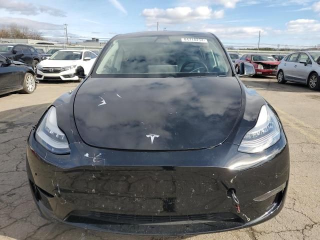 2020 Tesla Model Y