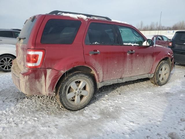 2012 Ford Escape XLT