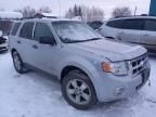 2008 Ford Escape XLT