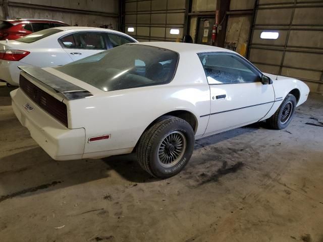 1984 Pontiac Firebird