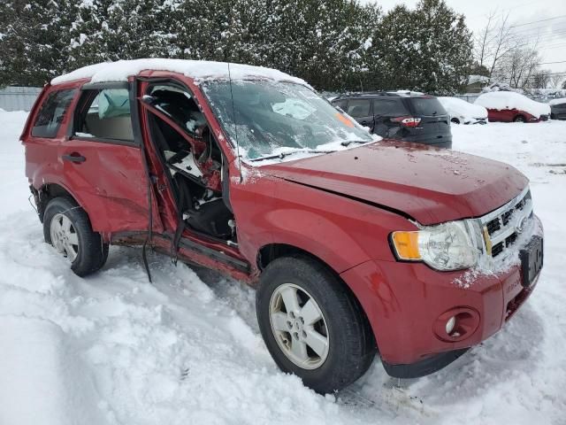 2012 Ford Escape XLT