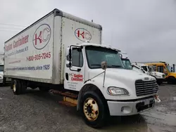 Freightliner salvage cars for sale: 2017 Freightliner M2 106 Medium Duty