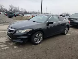 2011 Honda Accord EXL en venta en Fort Wayne, IN