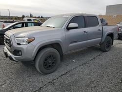 Salvage cars for sale from Copart Cleveland: 2021 Toyota Tacoma Double Cab