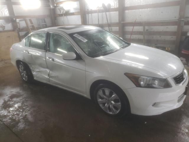 2008 Honda Accord EXL