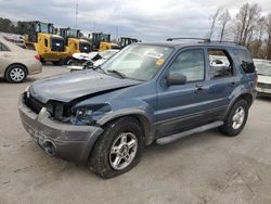 Ford Escape Vehiculos salvage en venta: 2005 Ford Escape XLT