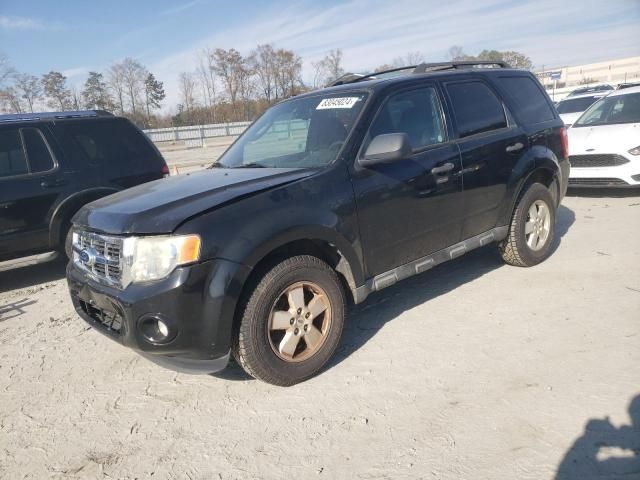 2010 Ford Escape XLT