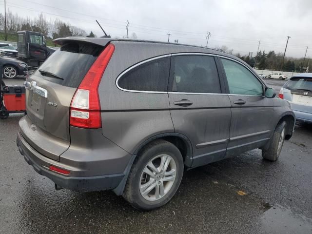 2010 Honda CR-V EXL