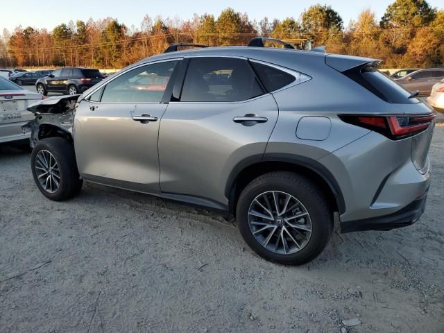 2025 Lexus NX 350H Base