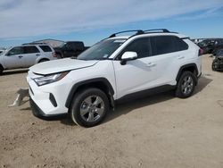 2023 Toyota Rav4 XLE en venta en Amarillo, TX