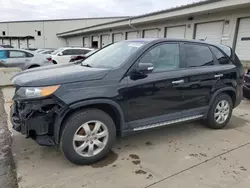 KIA Vehiculos salvage en venta: 2013 KIA Sorento LX