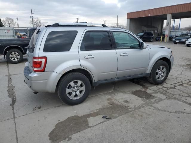 2011 Ford Escape Limited