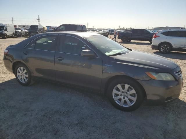 2008 Toyota Camry Hybrid