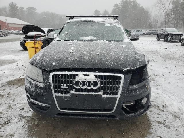 2010 Audi Q5 Premium Plus