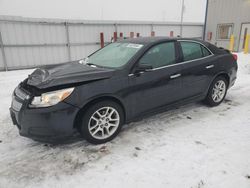 Chevrolet Malibu salvage cars for sale: 2013 Chevrolet Malibu 1LT