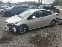 Salvage cars for sale at Riverview, FL auction: 2019 Toyota Prius Prime