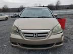 2005 Honda Odyssey EXL