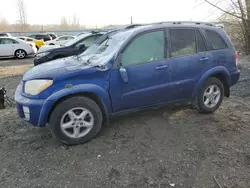 Toyota salvage cars for sale: 2003 Toyota Rav4