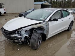 Salvage cars for sale at Seaford, DE auction: 2023 Tesla Model 3