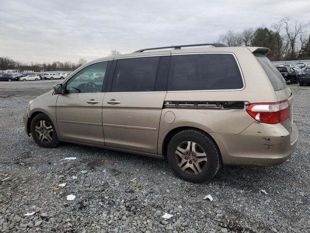 2005 Honda Odyssey EXL