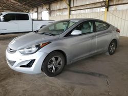 Salvage cars for sale at Phoenix, AZ auction: 2014 Hyundai Elantra SE