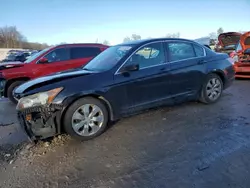 Honda salvage cars for sale: 2008 Honda Accord EXL