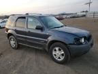 2001 Ford Escape XLT