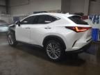 2024 Lexus NX 350H Base