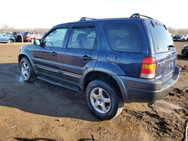 2003 Ford Escape XLT