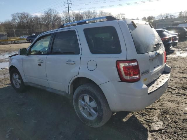 2011 Ford Escape Limited