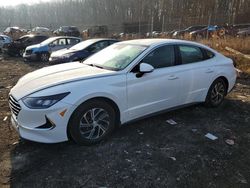 Salvage cars for sale at Baltimore, MD auction: 2022 Hyundai Sonata Hybrid