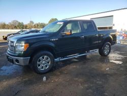 Ford salvage cars for sale: 2013 Ford F150 Supercrew