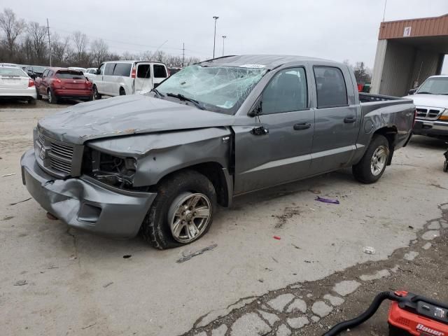 2010 Dodge Dakota SXT