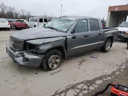 2010 Dodge Dakota SXT en venta en Fort Wayne, IN