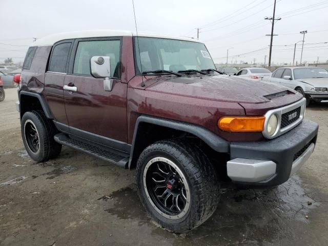 2007 Toyota FJ Cruiser