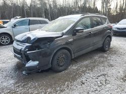 Ford Escape Vehiculos salvage en venta: 2013 Ford Escape SEL