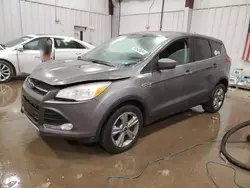 Salvage cars for sale at Franklin, WI auction: 2014 Ford Escape SE