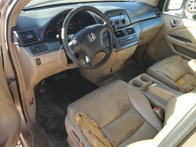 2005 Honda Odyssey EXL