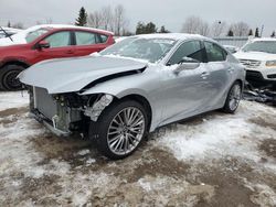 Lexus Vehiculos salvage en venta: 2024 Lexus IS 300